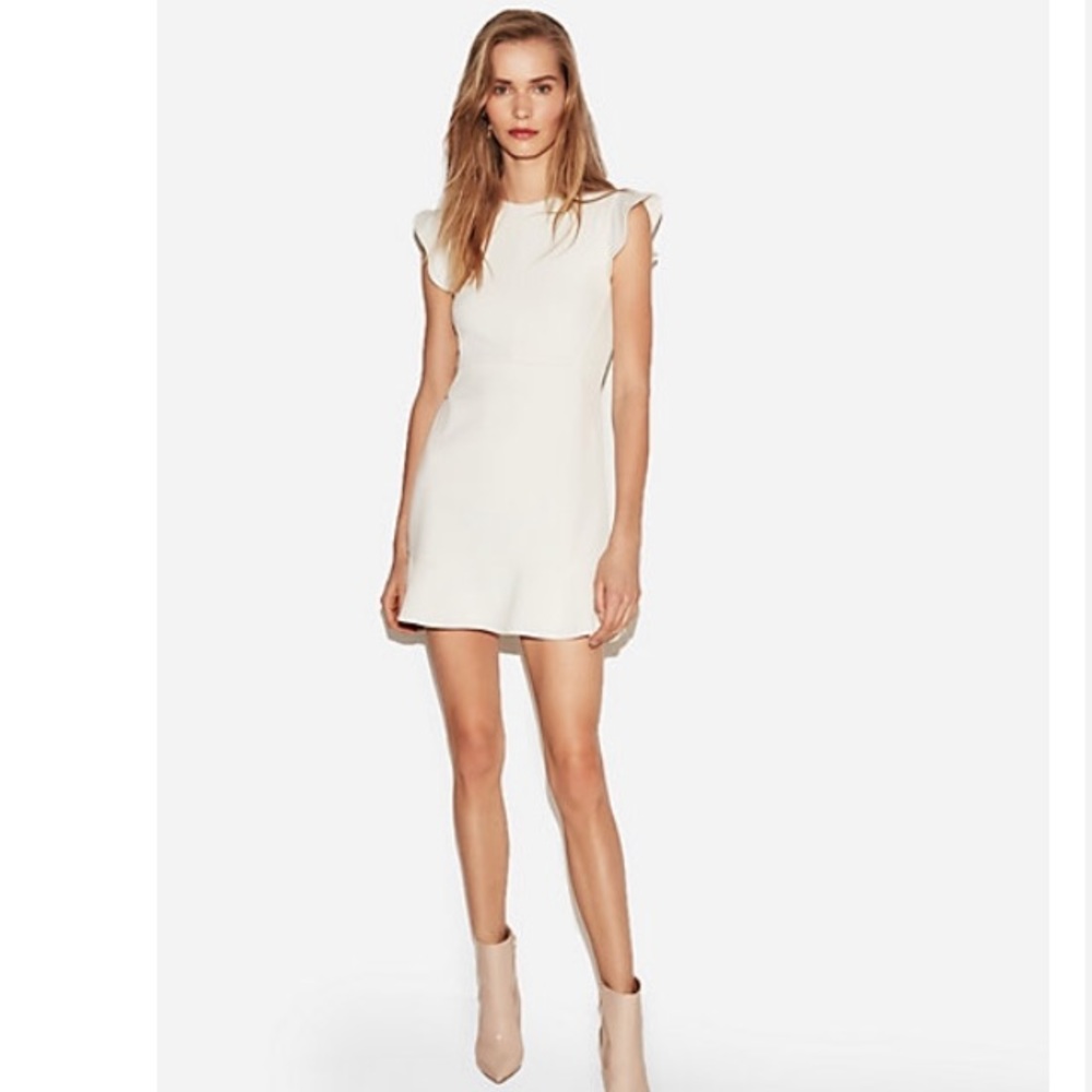 Express Ruffle Sleeve Fit and Flare Dress